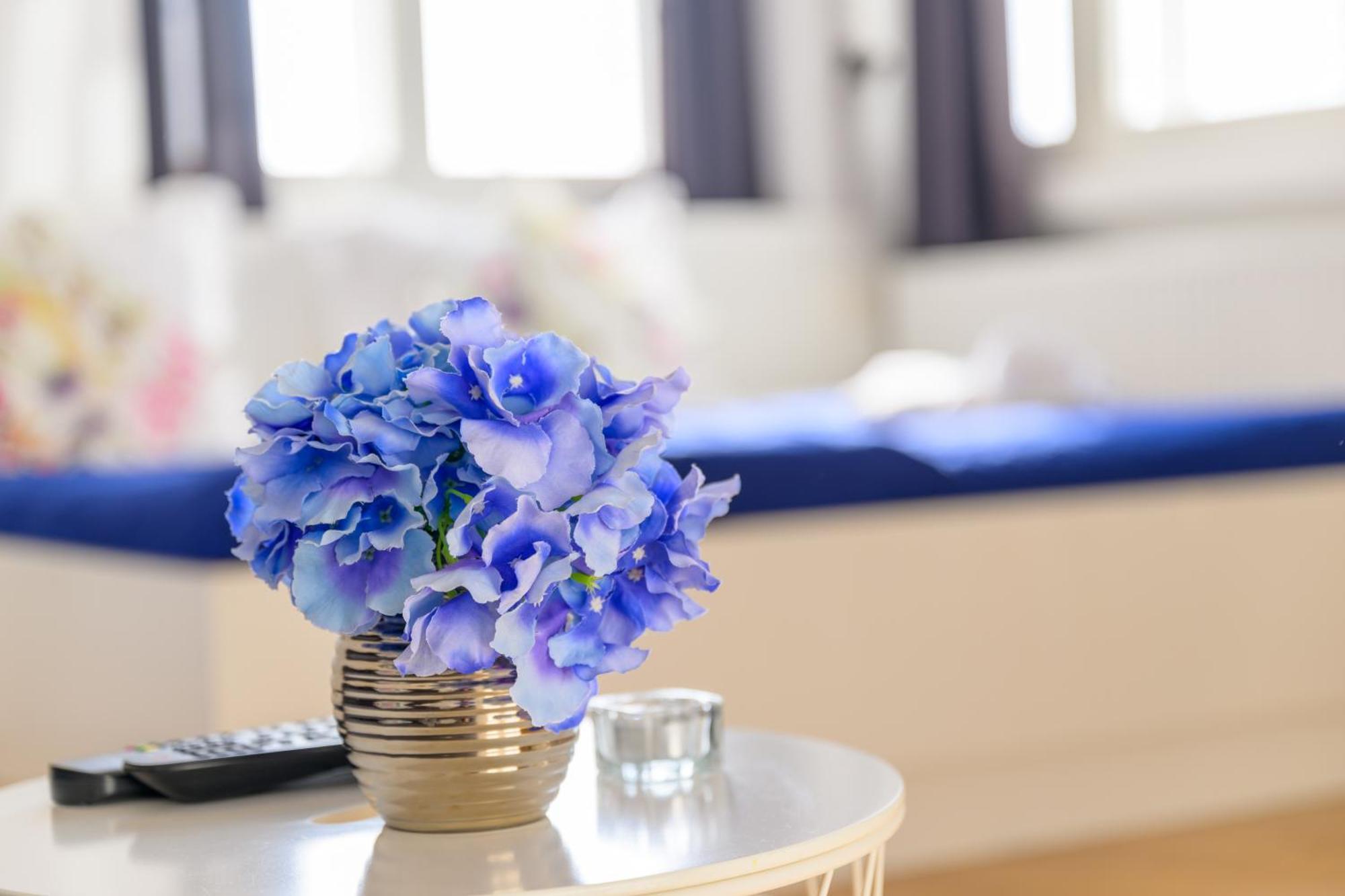 Niva rooms&studio apartment Zagreb Buitenkant foto